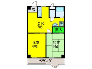 グレーシア橘の物件間取画像